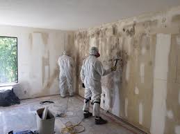 Mold Remediation for Rental Properties in Lynchburg, OH